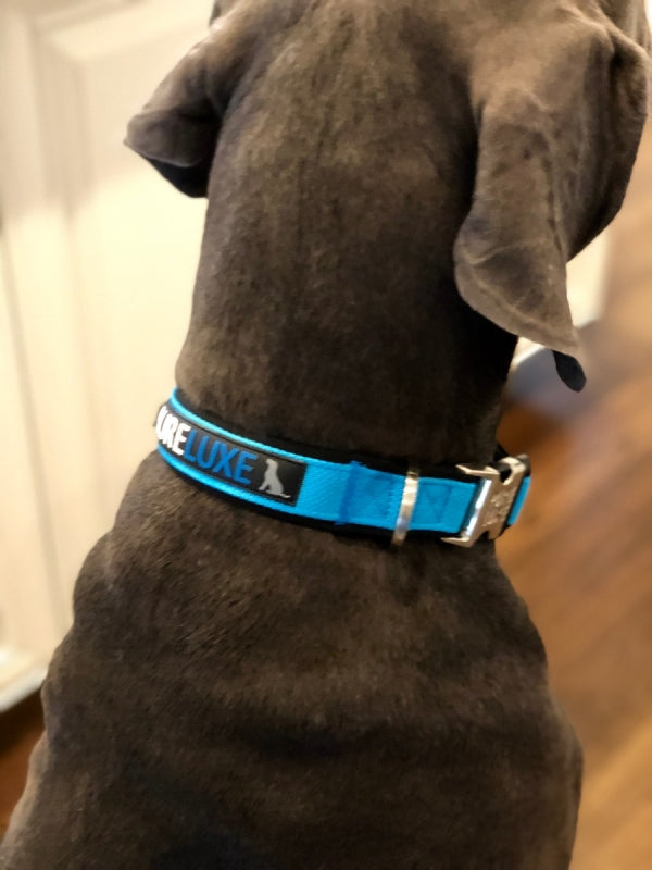 CITI-STYLE COMFORT COLLAR image 6