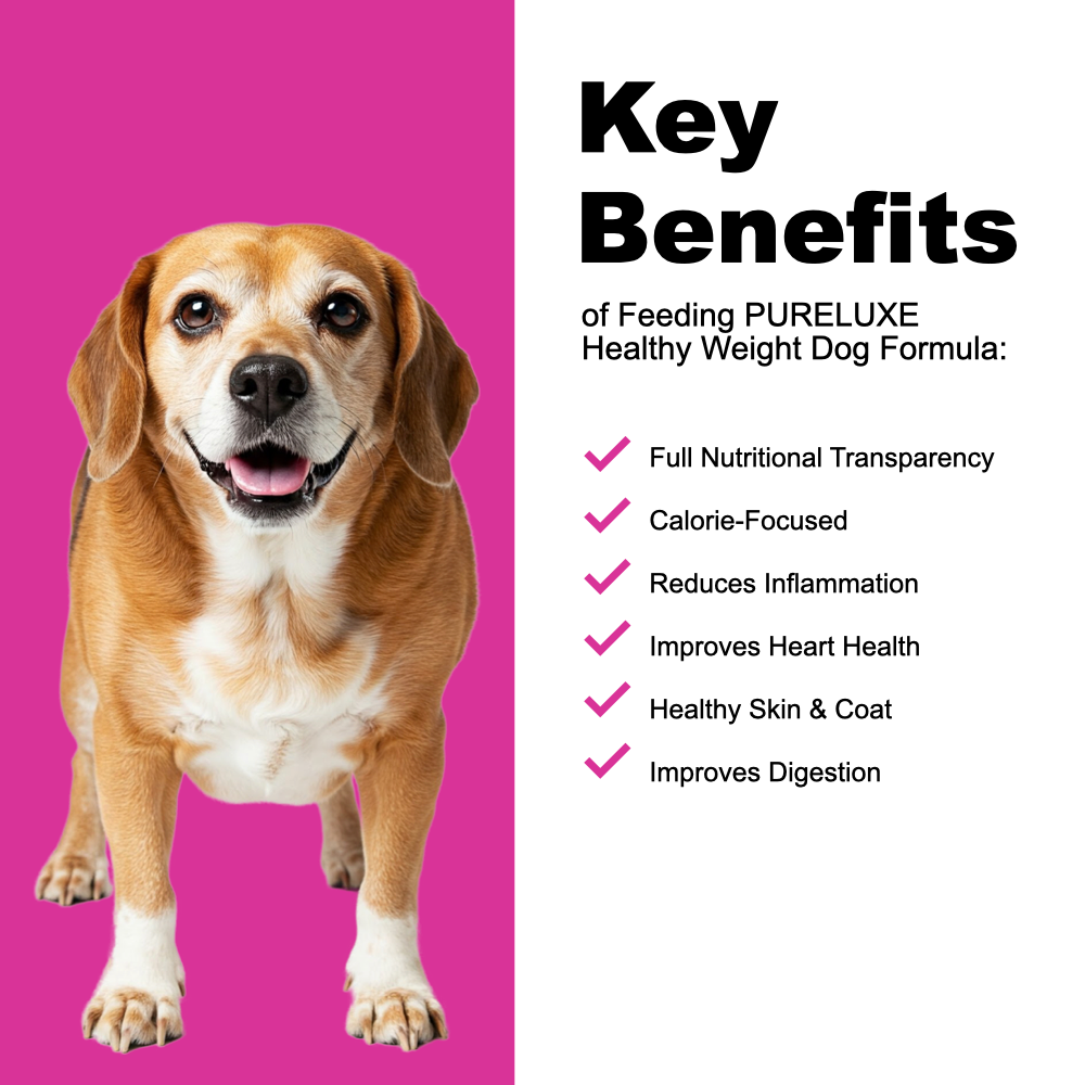 Healthy Weight Turkey & Salmon Dog Formula
