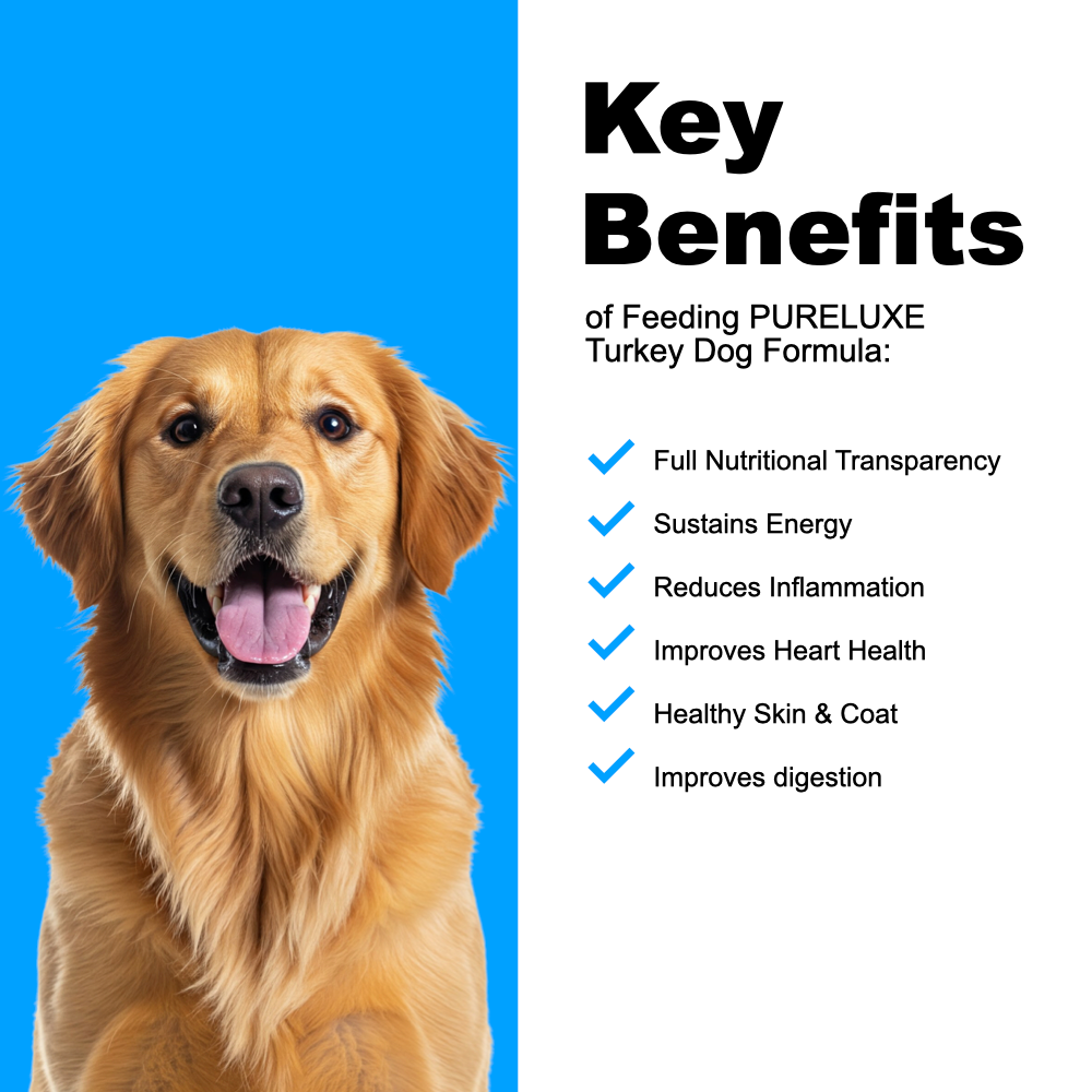 Grain Free Turkey Dog Formula