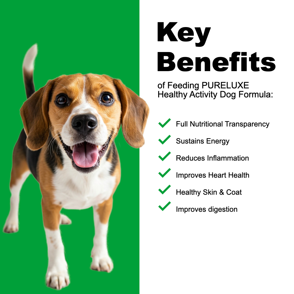 Healthy Activity / Puppy Turkey & Salmon Dog Formula