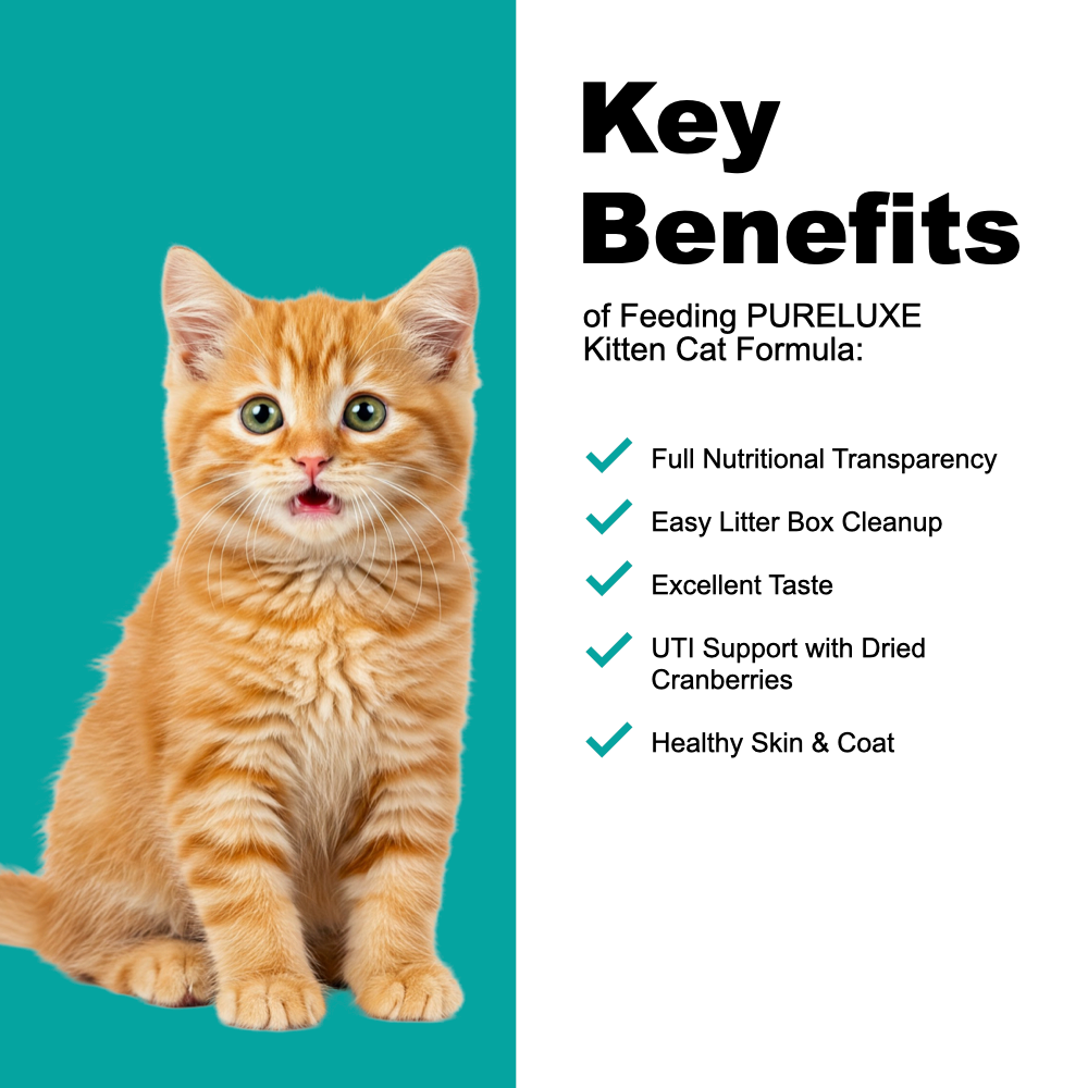 Kitten Cat Formula