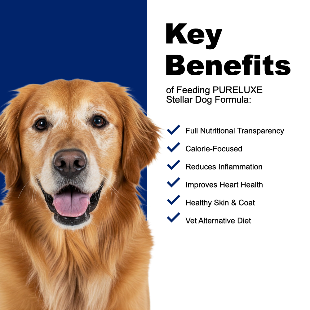 Holistic Low-Protein / Fat Alt. Vet Dog Formula