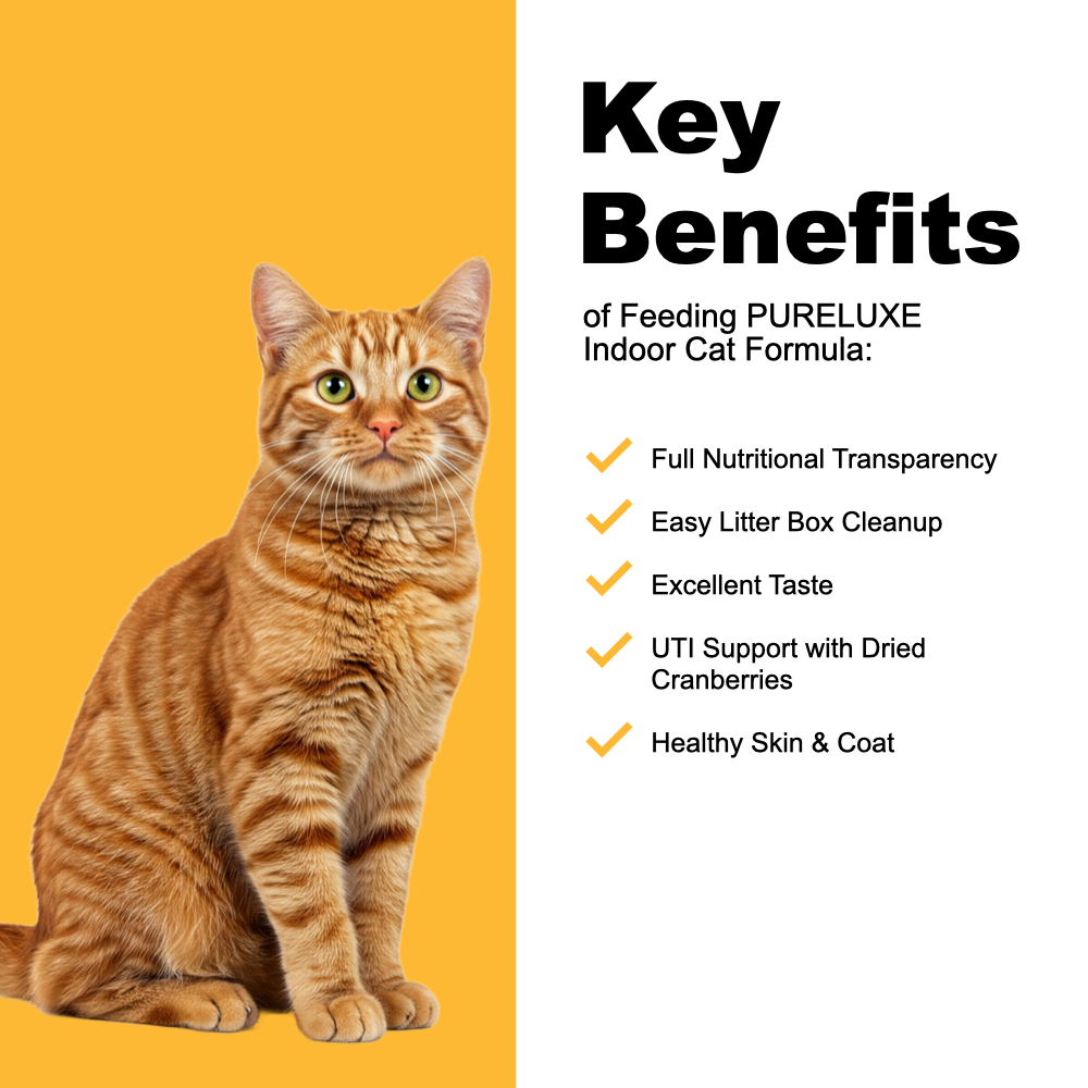 Indoor Cat Formula made with Salmon & Split Peas