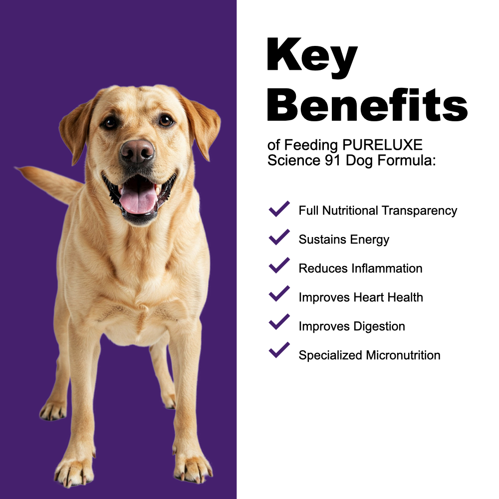 Science91 Chicken, Salmon & Eggs Dog Formula