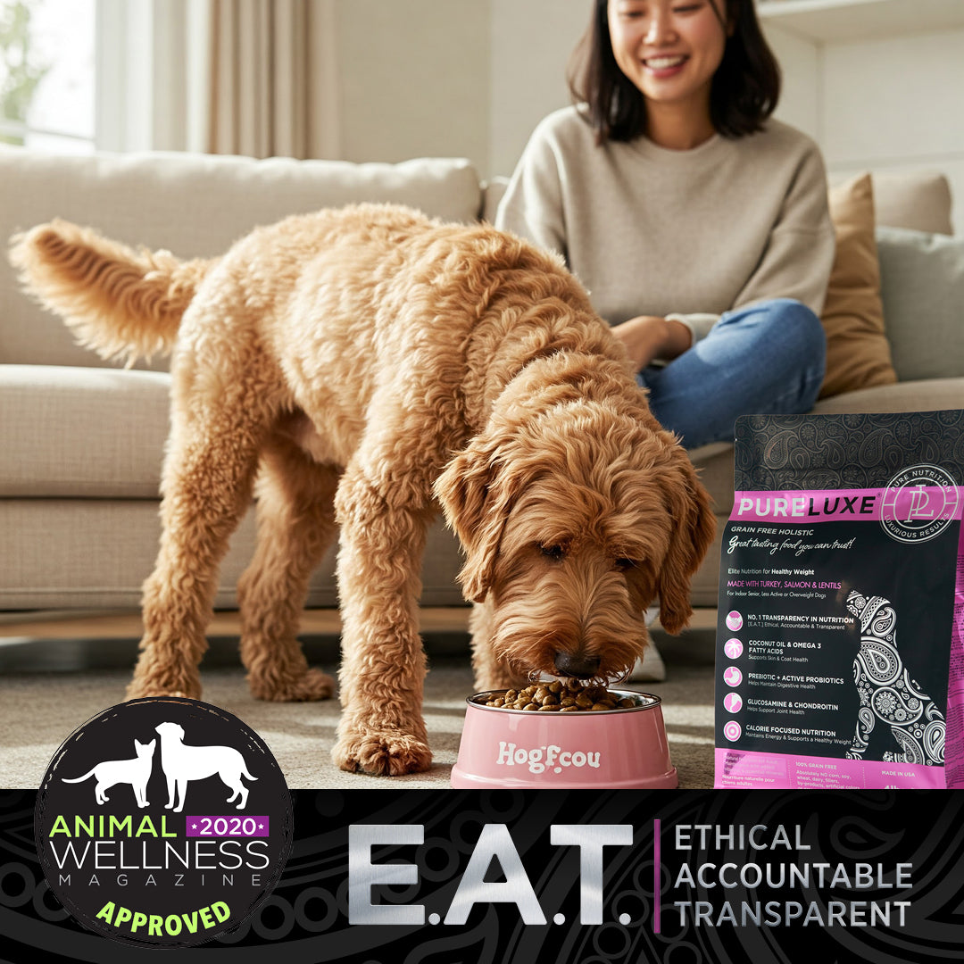 Healthy Weight Turkey & Salmon Dog Formula