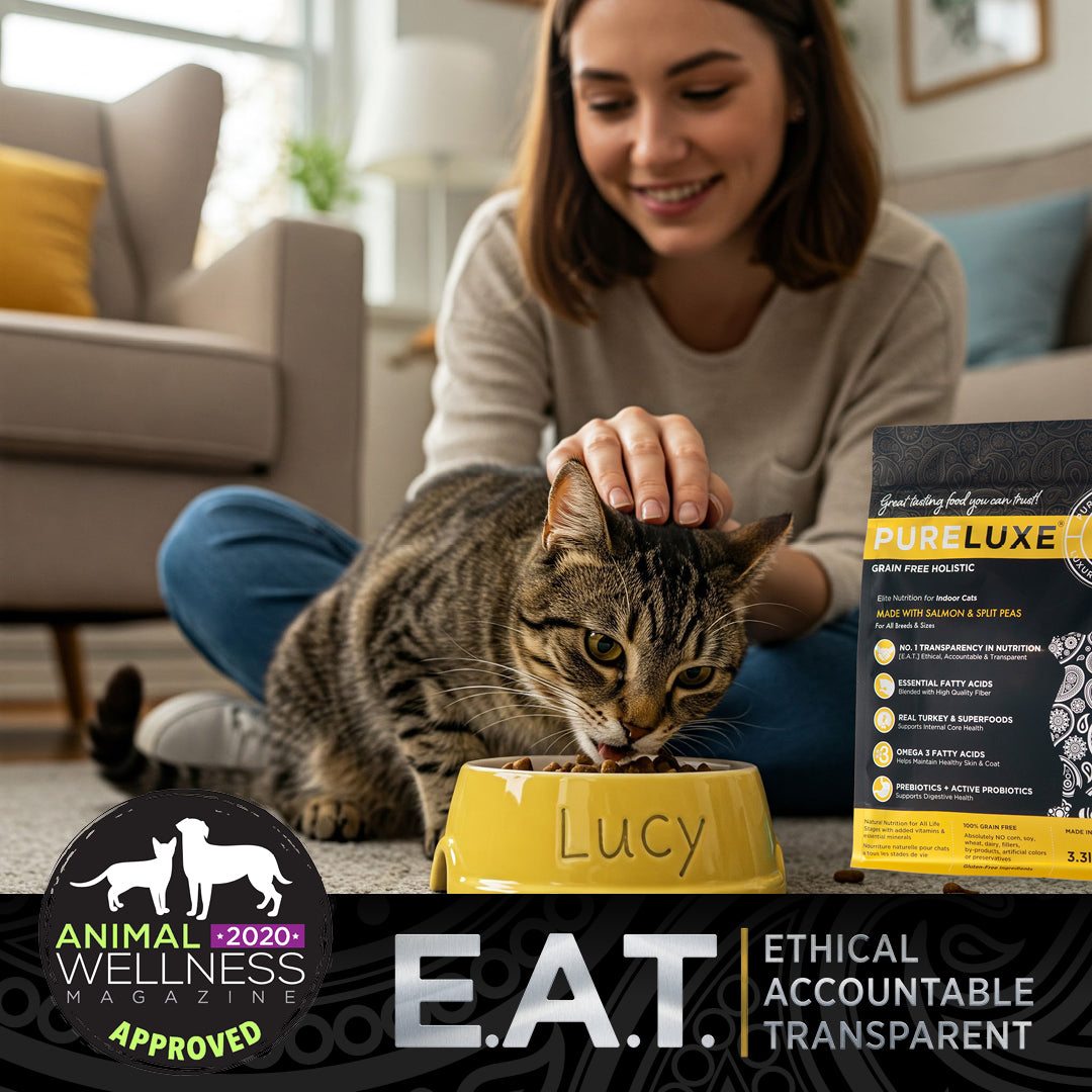 Indoor Cat Formula made with Salmon & Split Peas
