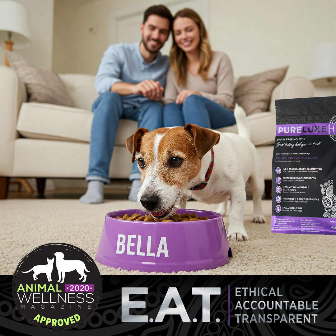 Small Breed Turkey Dog Formula