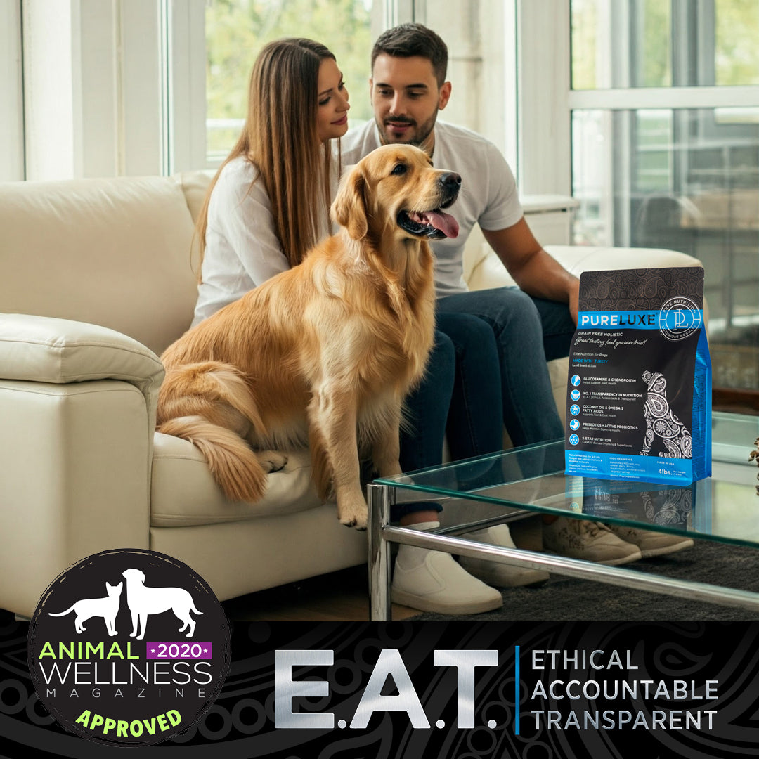 Grain Free Turkey Dog Formula