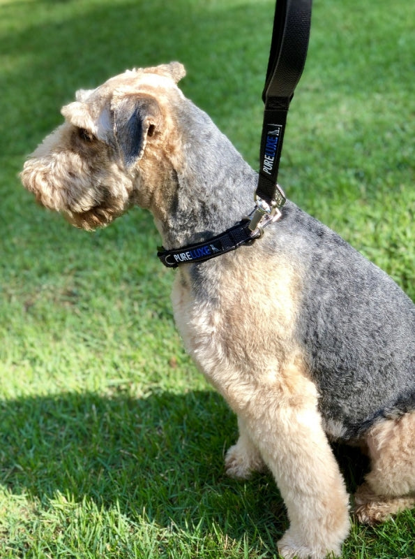 CITI-STYLE COMFORT LEASH image 3