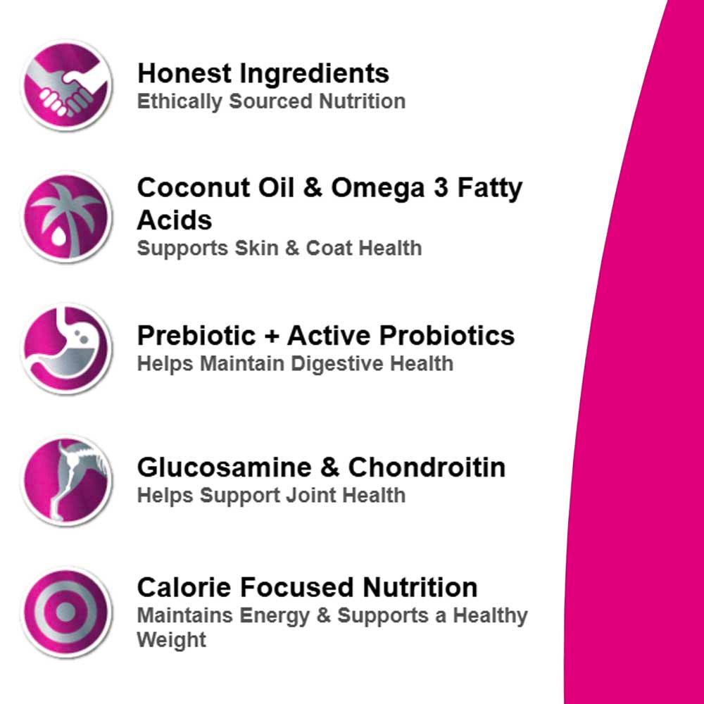 Healthy Weight Turkey & Salmon Dog Formula