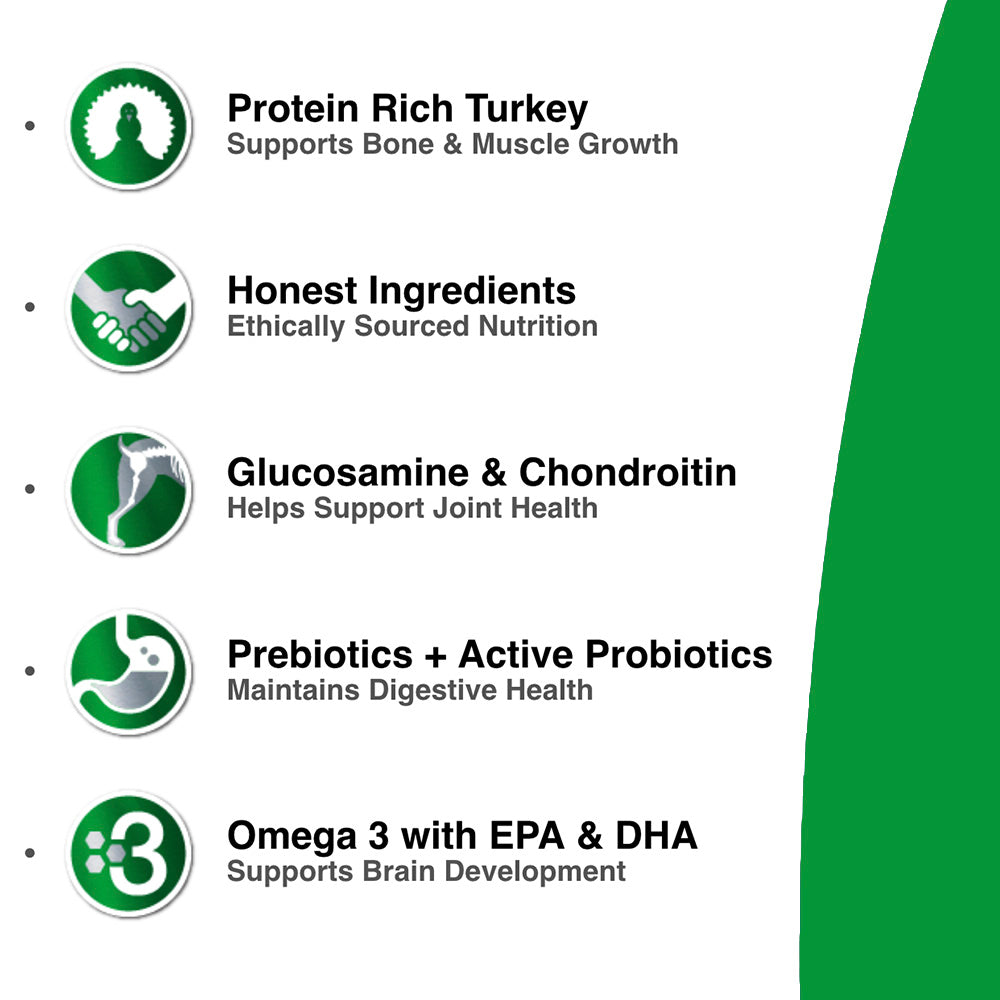 Healthy Activity / Puppy Turkey & Salmon Dog Formula