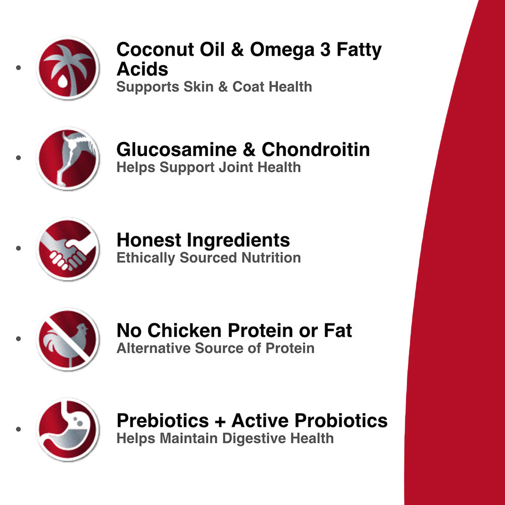 Grain Free Lamb Dog Formula