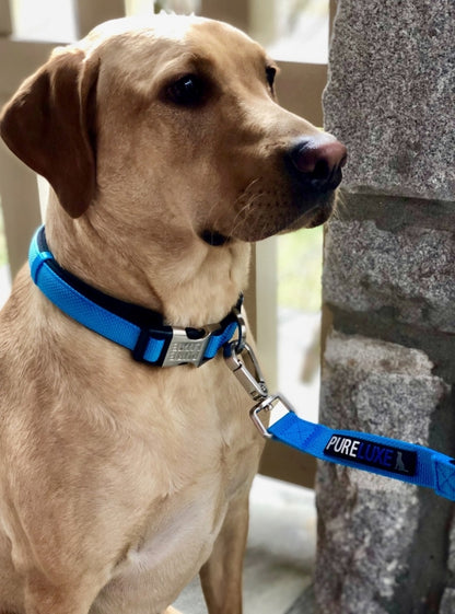 CITI-STYLE COMFORT LEASH image 1