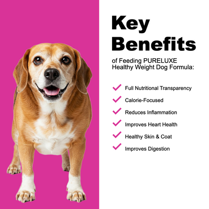 Healthy Weight Turkey & Salmon Dog Formula