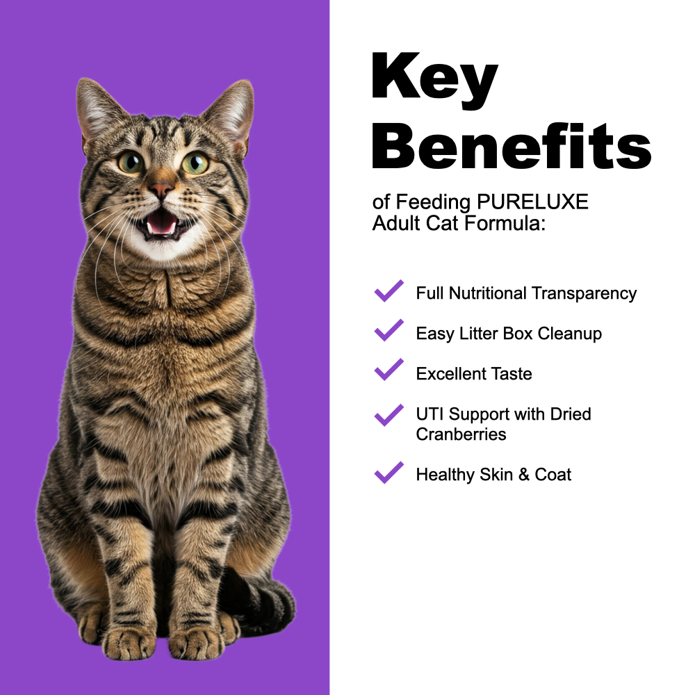 Turkey Cat Formula