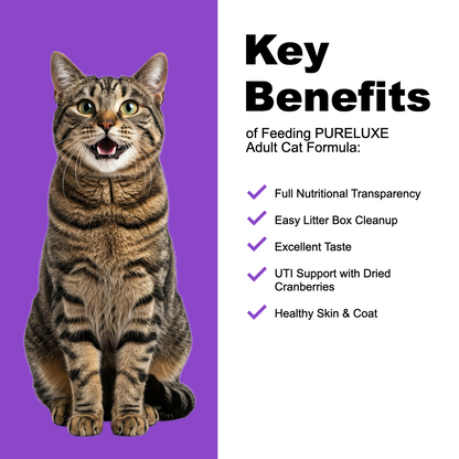 Turkey Cat Formula