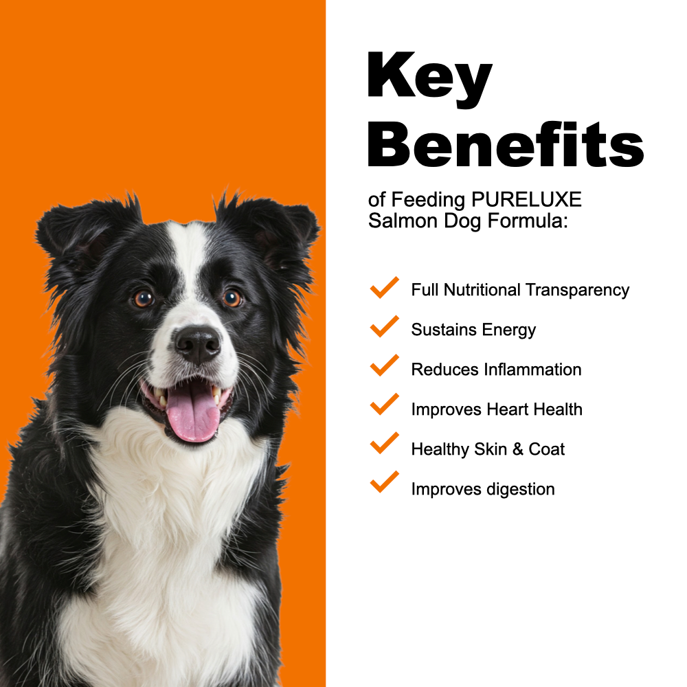 Grain Free Salmon Dog Formula