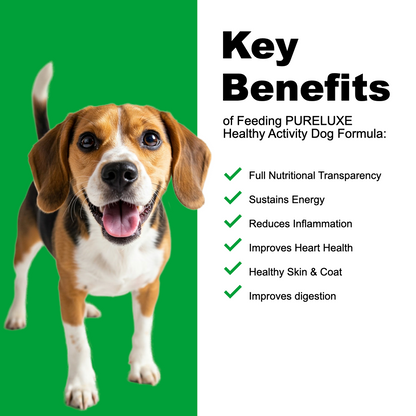 Healthy Activity / Puppy Turkey & Salmon Dog Formula