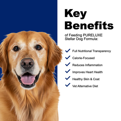 Holistic Low-Protein / Fat Alt. Vet Dog Formula