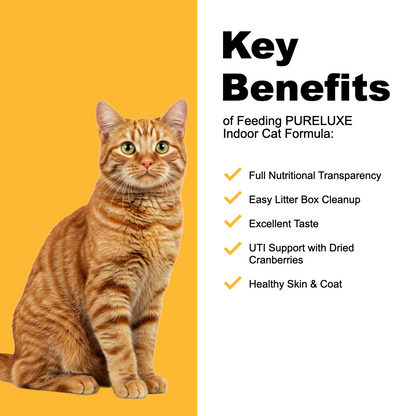 Indoor Cat Formula made with Salmon & Split Peas