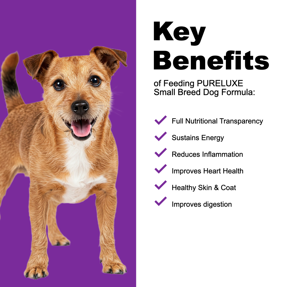 Small Breed Turkey Dog Formula