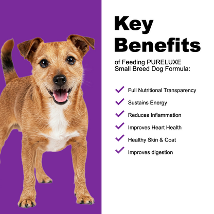 Small Breed Turkey Dog Formula
