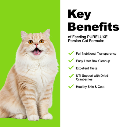 Persian Cat Formula made with Salmon