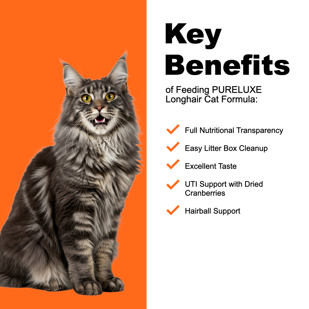 Longhair Cat Formula made with Chicken & Salmon