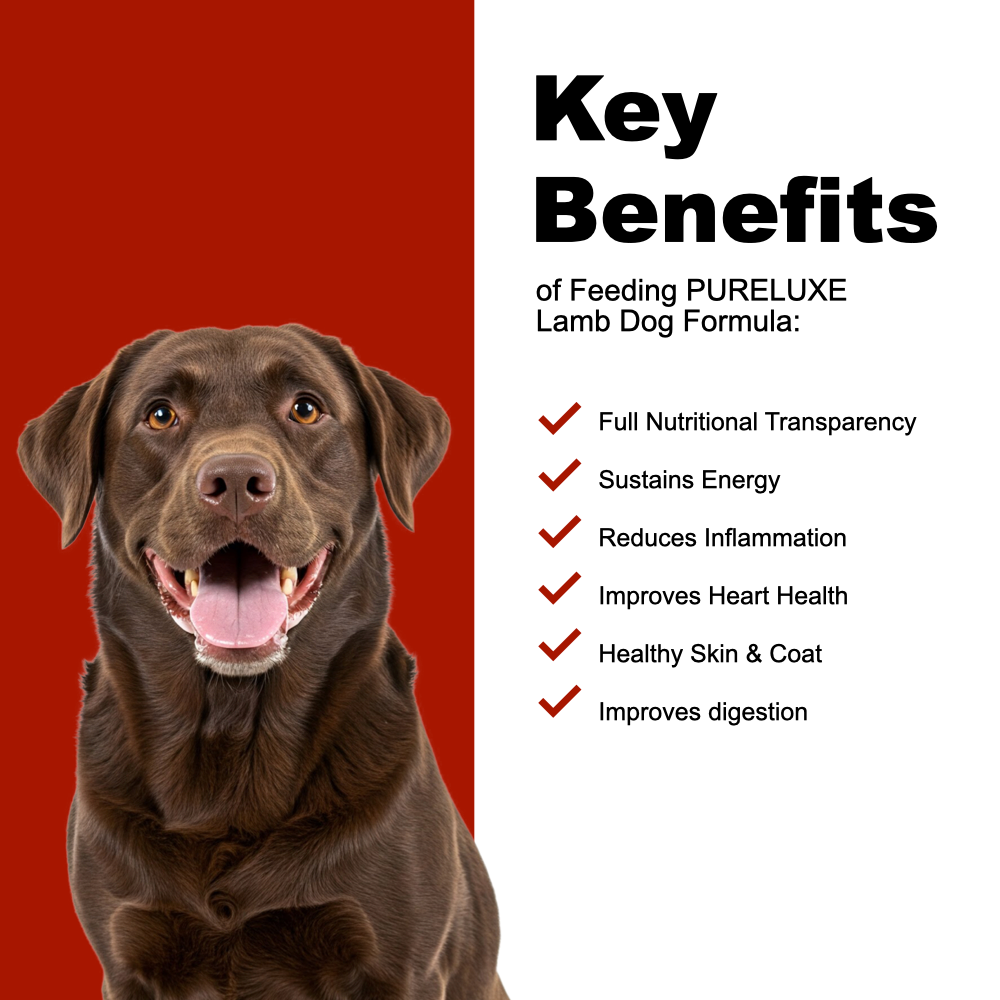 Grain Free Lamb Dog Formula
