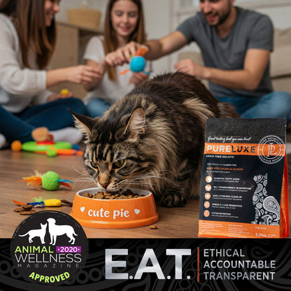Longhair Cat Formula made with Chicken & Salmon
