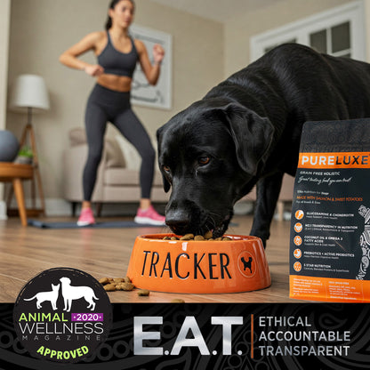 Grain Free Salmon Dog Formula