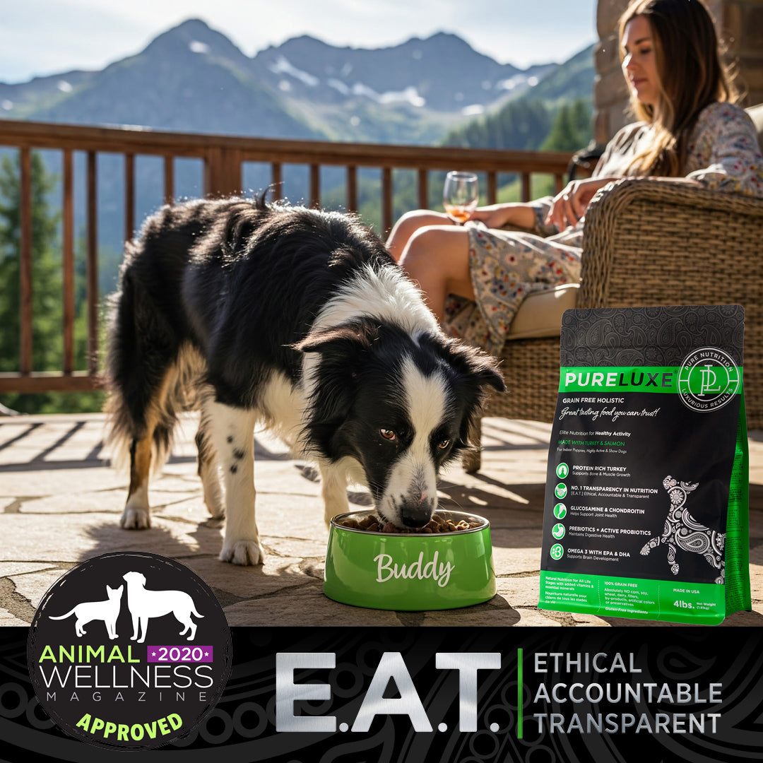 Healthy Activity / Puppy Turkey & Salmon Dog Formula