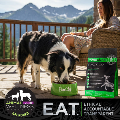 Healthy Activity / Puppy Turkey & Salmon Dog Formula