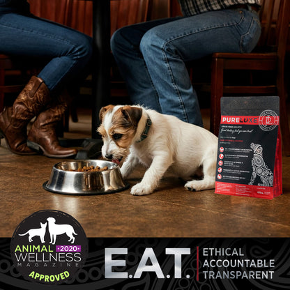 Grain Free Lamb Dog Formula