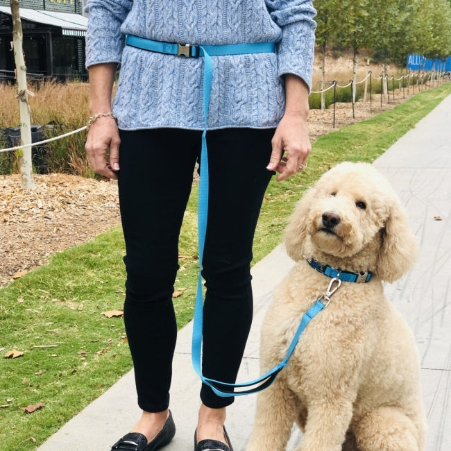 CITI-STYLE COMFORT LEASH SPORT-FLEX, HANDS-FREE WITH TRAFFIC HANDLE image 5