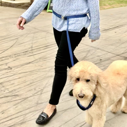 CITI-STYLE COMFORT LEASH SPORT-FLEX, HANDS-FREE WITH TRAFFIC HANDLE image 10