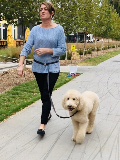 CITI-STYLE COMFORT LEASH SPORT-FLEX, HANDS-FREE WITH TRAFFIC HANDLE image 12