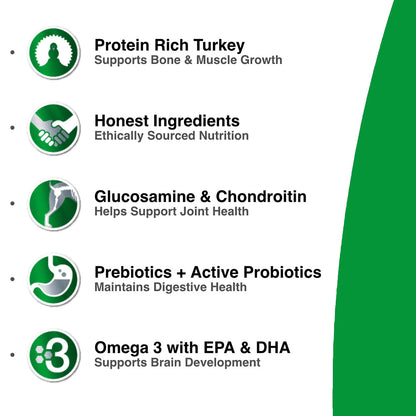 Healthy Activity / Puppy Turkey & Salmon Dog Formula