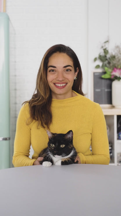 Indoor Cat Formula made with Salmon & Split Peas