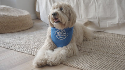 Grain Free Turkey Dog Formula