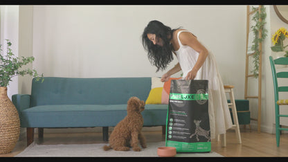 Healthy Activity / Puppy Turkey & Salmon Dog Formula